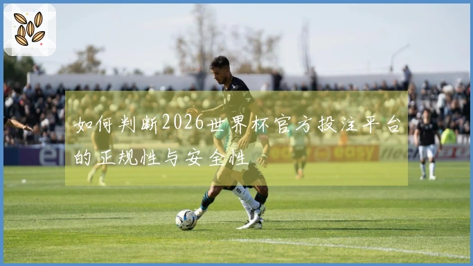 如何判断2026世界杯官方投注平台的正规性与安全性