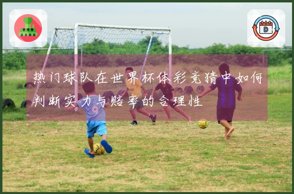 热门球队在世界杯体彩竞猜中如何判断实力与赔率的合理性