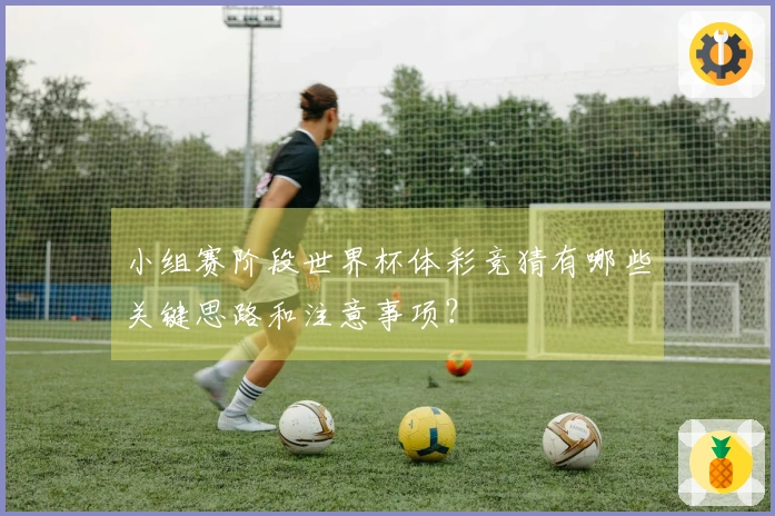 小组赛阶段世界杯体彩竞猜有哪些关键思路和注意事项？