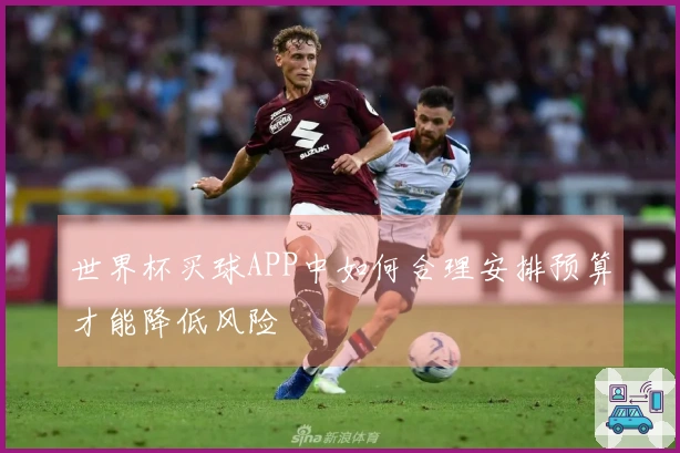 世界杯买球APP中如何合理安排预算才能降低风险