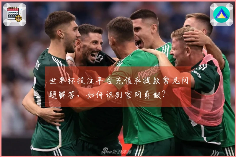 世界杯投注平台充值和提款常见问题解答，如何识别官网真假？