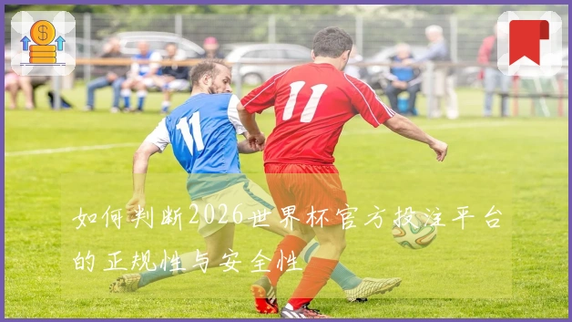 如何判断2026世界杯官方投注平台的正规性与安全性
