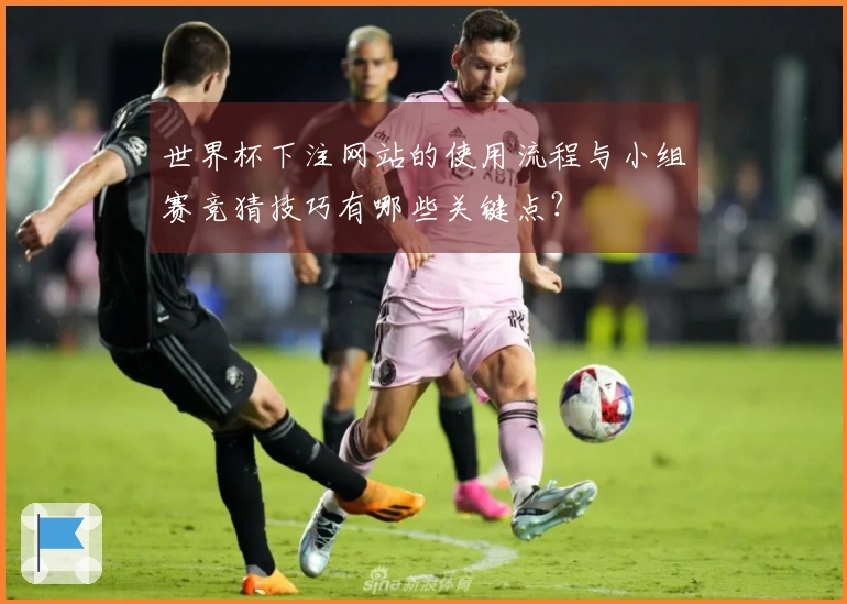 世界杯下注网站的使用流程与小组赛竞猜技巧有哪些关键点？