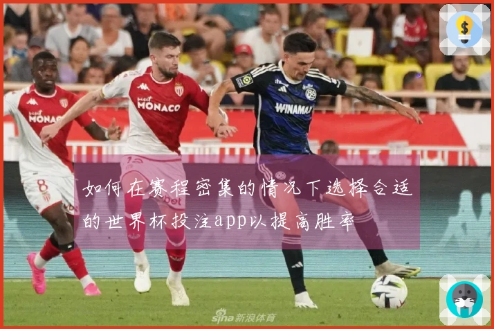 如何在赛程密集的情况下选择合适的世界杯投注app以提高胜率