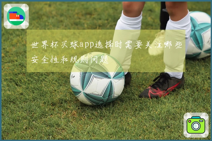 世界杯买球app选择时需要关注哪些安全性和规则问题