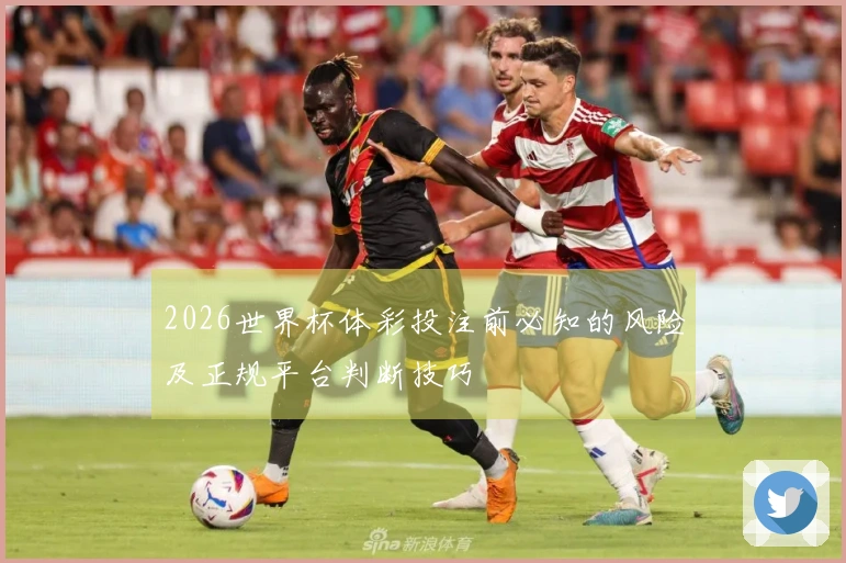 2026世界杯体彩投注前必知的风险及正规平台判断技巧